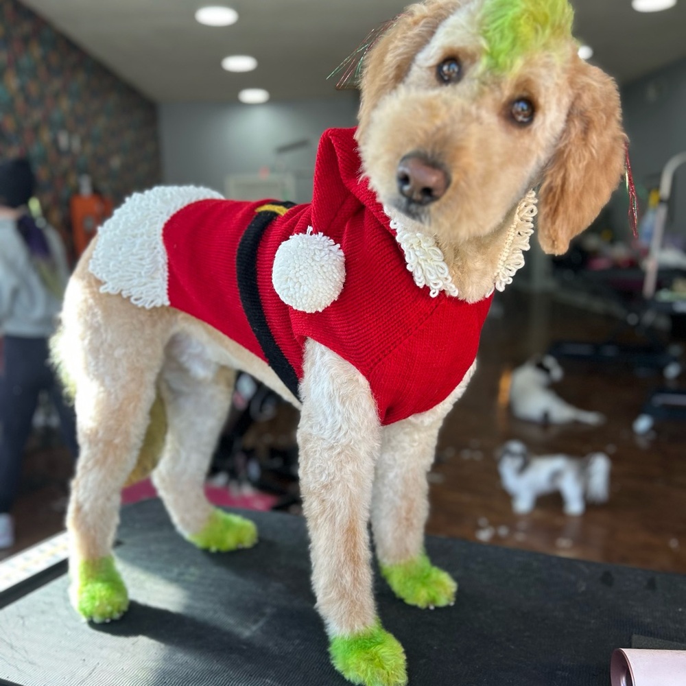 Santa Dog Sweater -quick ship
